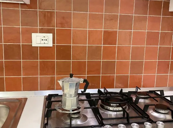 Zaras 11 * ラッコ・アメーノ