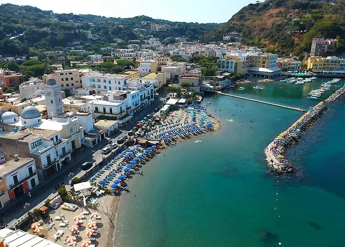 Zaras 11 ラッコ・アメーノ